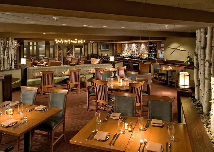Hotel Doubletree By Hilton Chicago - Arlington Heights