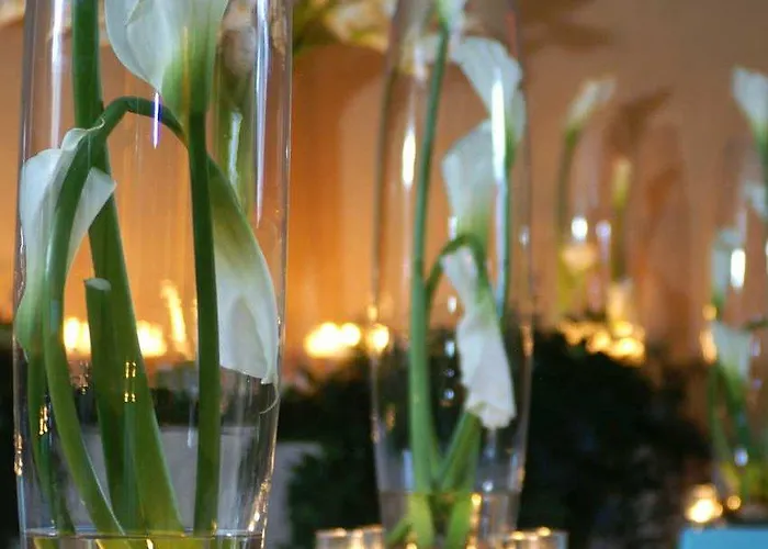 Doubletree By Hilton Chicago - Hotel Arlington Heights