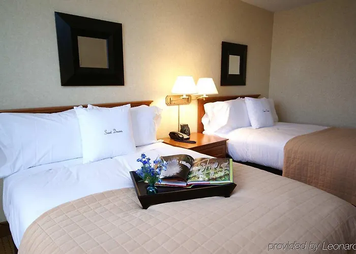 Doubletree By Hilton Chicago - Hotel Arlington Heights